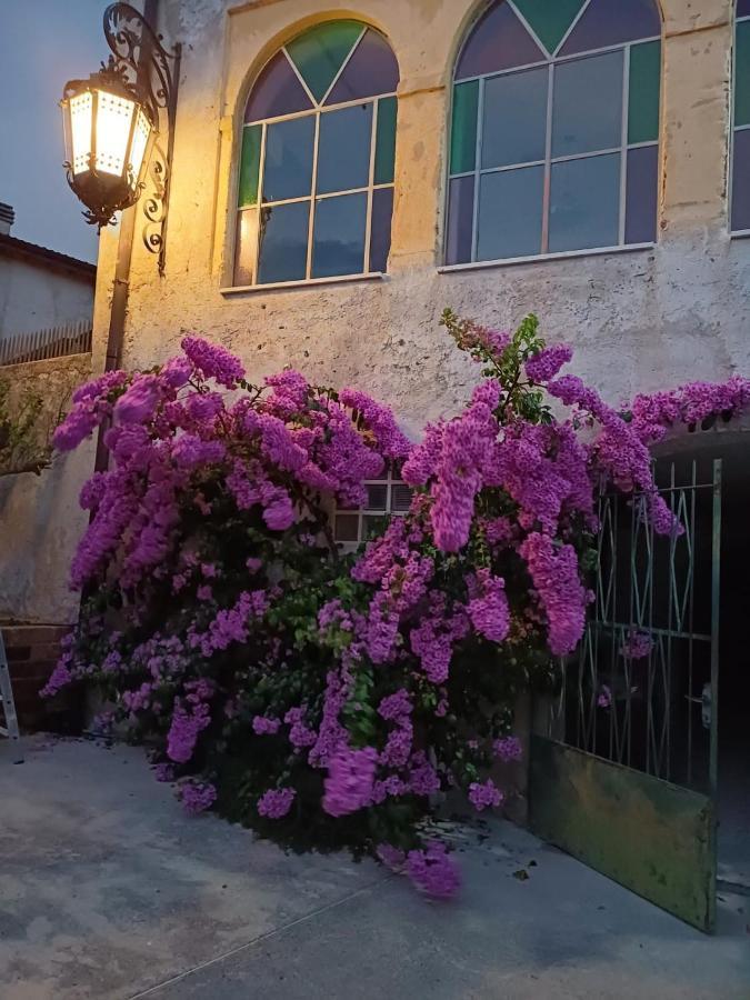 Corte Averaldo San Felice del Benaco Ngoại thất bức ảnh